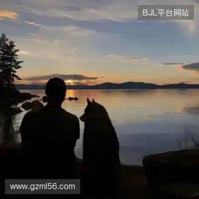 农杉菁
